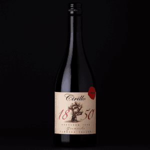 Cirillo1850 Ancestor Vine Grenache